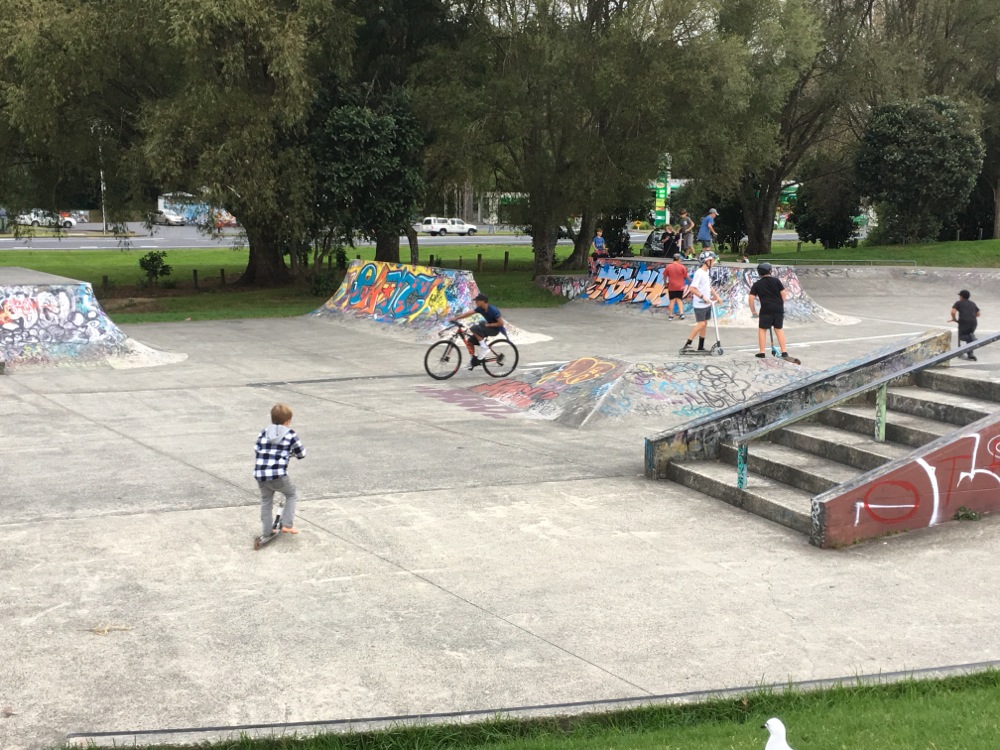 Willian Fraser Skatepark